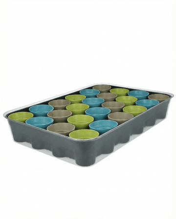 Calendario dell'Avvento 24 Varietà assortite – semi grow kit di SeedsChoice