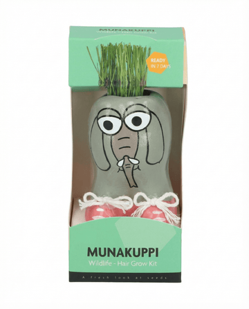 Lolium multiflorum – Italian Ryegrass Grass grown from seed