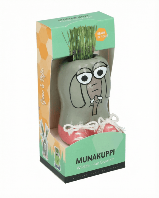 Italian Ryegrass Grass (Lolium multiflorum) – grow kit seeds from SeedsChoice
