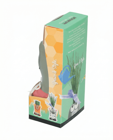 Italian Ryegrass Grass seeds – grow kit from SeedsChoice