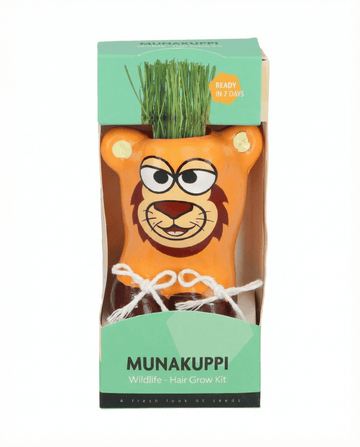 Italian Ryegrass (Lolium multiflorum) – kit di semina da SeedsChoice
