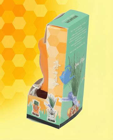 Lolium multiflorum – loietto italico coltivato da seme