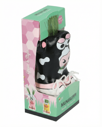 Semi di loglio italico da pascolo (Lolium multiflorum) – kit di coltivazione