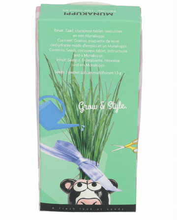 Semi di loglio italico da pascolo – kit di coltivazione da SeedsChoice