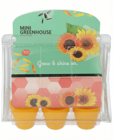 Semi di girasole Mini Greenhouse Pot (Helianthus annuus) – kit di coltivazione
