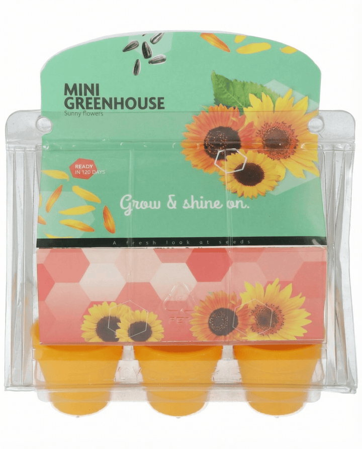 Semi di girasole Mini Greenhouse Pot (Helianthus annuus) – kit di coltivazione