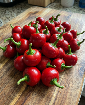 Semi di peperone Papecchia Capsicum annuum annuale