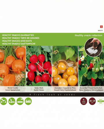 Healthy Snacks Mats 4 20x20 Cm seeds (Daucus carota) – seed mats