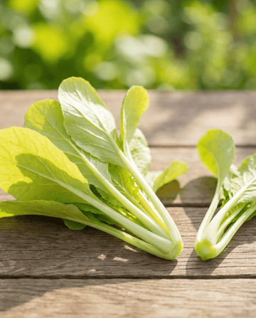 Semi di Cime di Rapa Gialle (Brassica pekinensis) – ortaggio annuale