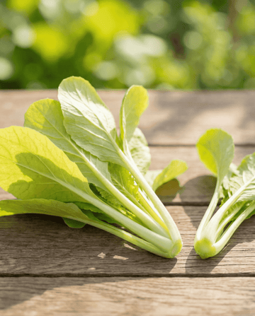 Cime di Rapa Gialle (Brassica pekinensis) – semi di ortaggi annuali di SeedsChoice