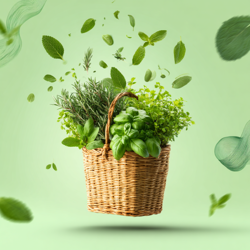 Shop Herb Sale