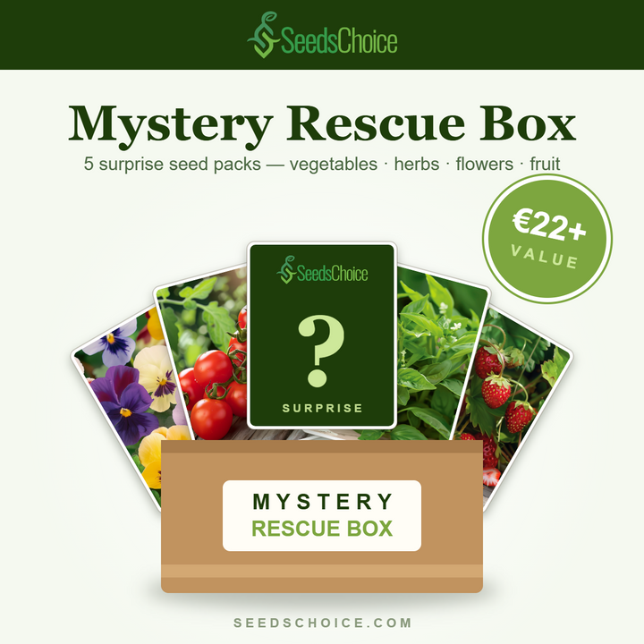 SeedsChoice Mystery Box — mix a sorpresa di semi di ortaggi, erbe aromatiche, fiori e frutti
