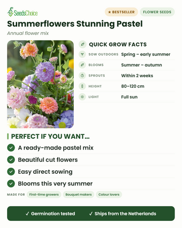 Tutto quello che ti serve sapere sul Mix Stunning Pastel: semina diretta dalla primavera all'inizio dell'estate, fioritura da estate ad autunno, altezza 80-120 cm, pieno sole — una miscela da taglio nei toni pastello già pronta all'uso